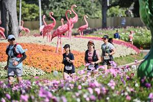 BIB: 
                            <button type="button" onclick="openModal(27793937)" class="btn btn-primary btn-sm float-right btn-popup" data-toggle="modal" data-target=".modal-high-quality">
                        <i class="fas fa-shopping-cart"></i> Add to Cart
                    </button>
                                            <button type="button" onclick="isThisMe(27793937, true)" class="btn btn-success btn-sm float-right btn-popup btn-isme hidden" data-toggle="tooltip" data-placement="bottom" title="นี่คือรูปของคุณใช่ไหม คลิกที่นี่เพื่อเอาเข้าอัลบั้ม">
                        <i class="fas fa-plus"></i> Add to album
                    </button>
                    <button type="button" onclick="isThisMe(27793937, false)" class="btn btn-warning btn-sm float-right btn-popup btn-isnotme hidden">
                        <i class="fas fa-ban"></i> Remove from album
                    </button>